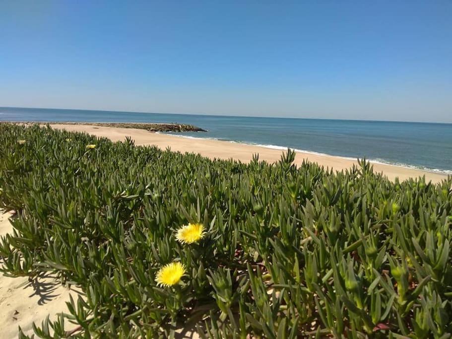 Casa De Praia Acolhedora/ Cosy Beach House Marinha das Ondas Eksteriør billede